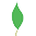 Formentera Yoga leaf
